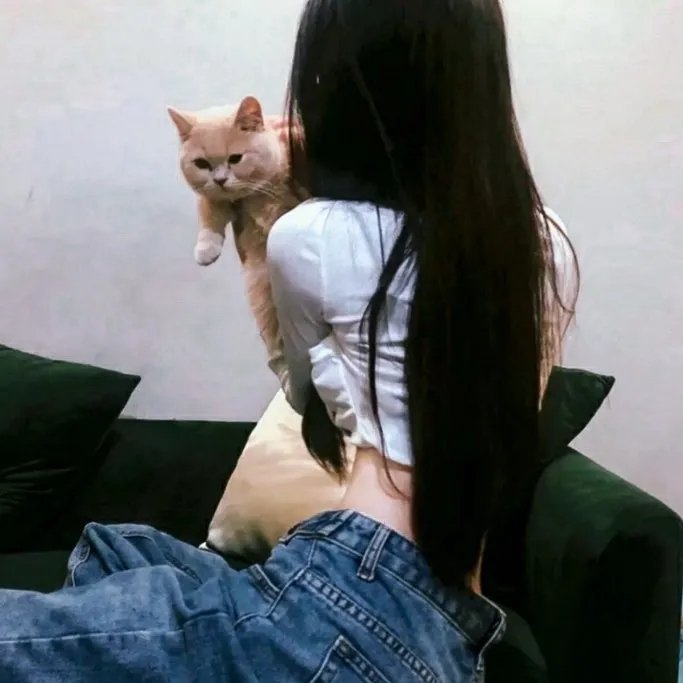 美女来了