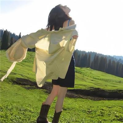 龙公主的冒险